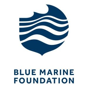 Blue Marine Foundation Logo