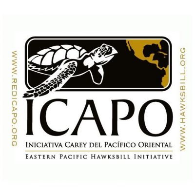 ICAPO. Iniciativa Carey Del Pacifico Oriental. Eastern Pacific Hawksbill Initiative. Logo