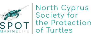 SPOT Marine. North Cyprus Society for the Protection of Turtles Logo
