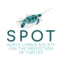 SPOT. North Cyprus Society for the Protection of Turtles. Logo