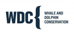 WDC. Whale and dolphin conservation. Logo