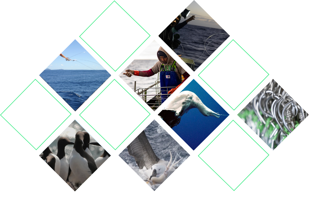 Fishtek Seabird Bycatch - Fishtek Marine