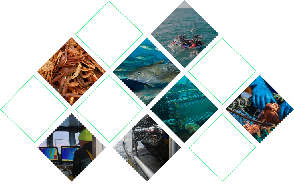 Fishtek Maximising Catch, Minimising Impact - Fishtek Marine